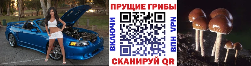 Галлюциногенные грибы ЛСД где купить МЕГА tor Макарьев
